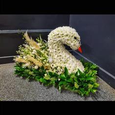 3D Swan