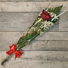 Single Rose With Gypsophila and Greenary