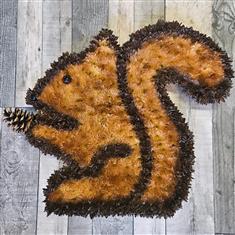 Squirrel 