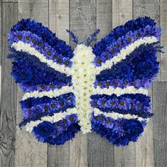 Butterfly in Blue